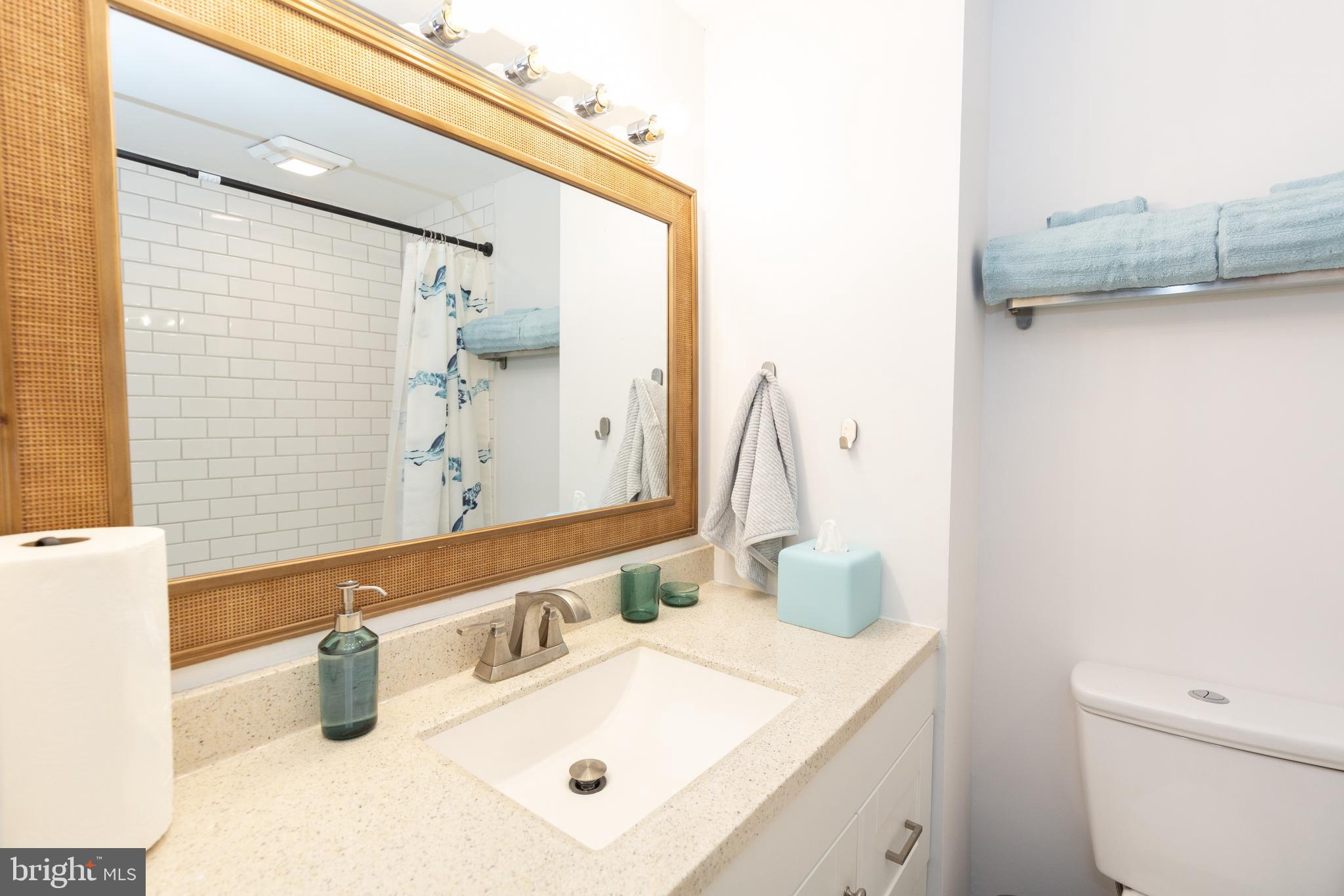 1915 Pemberton Street, Unit 2 Philadelphia, PA 19146 - Photo 11 of 16 a bathroom with a sink and a mirror
