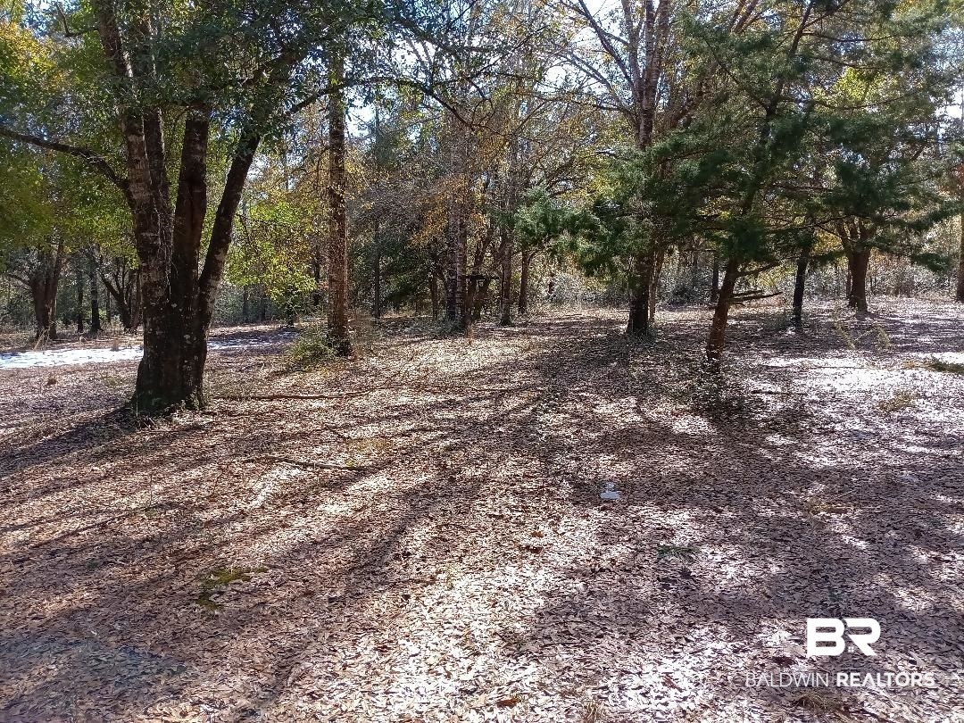 32799 Rustic Bend Robertsdale, AL 36567 - Photo 15 of 27 Gallery Image 15