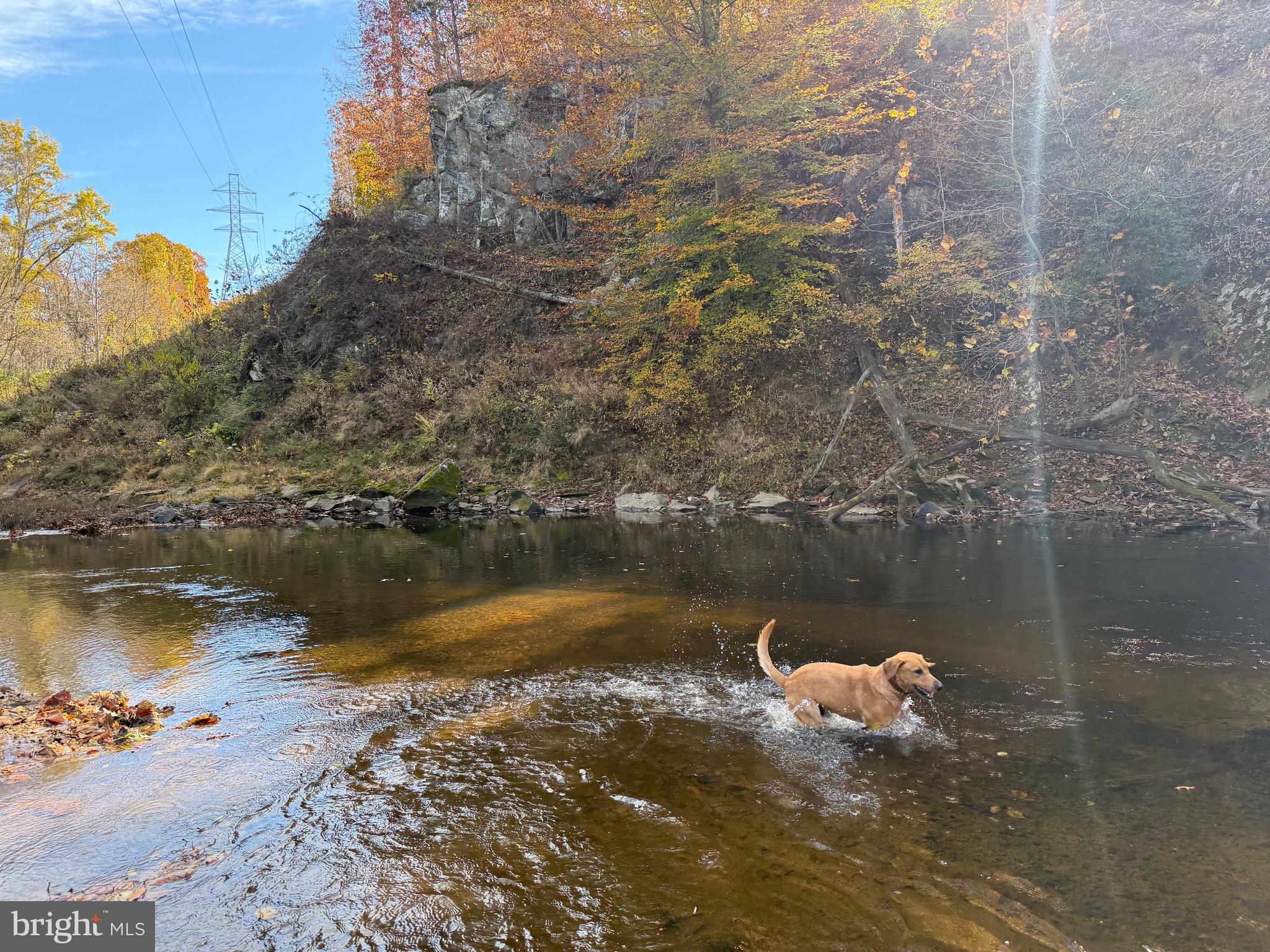 0 Bridgeport Road Arvonia, VA 23004 - Photo 1 of 52
