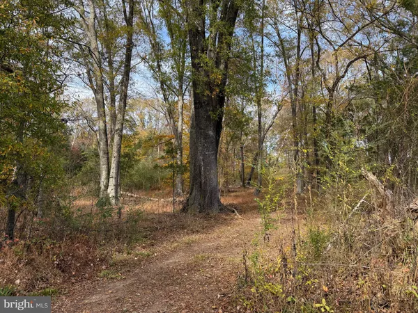 $359,000 | 0 Bridgeport Road, Arvonia, VA 23004