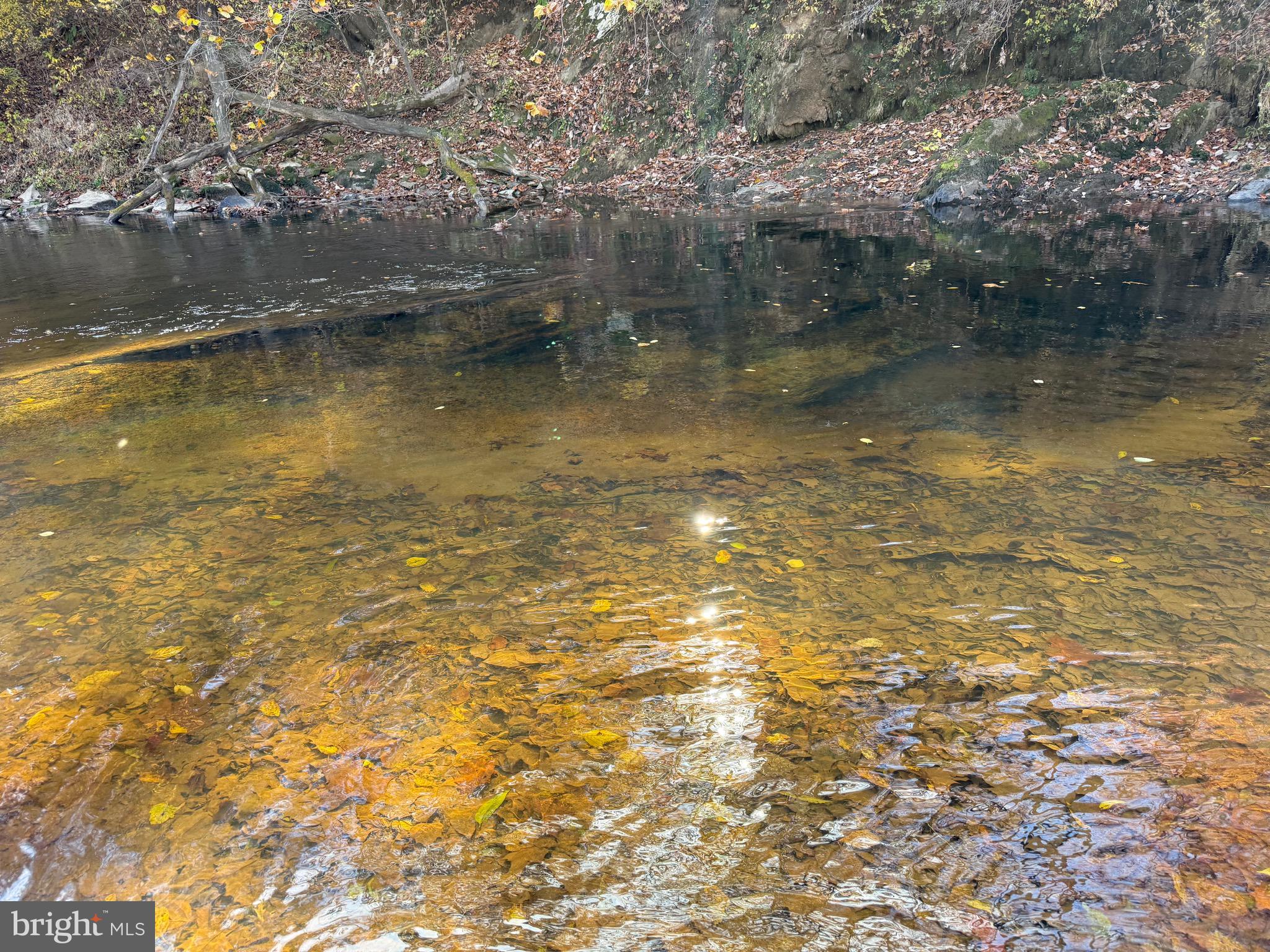 0 Bridgeport Road Arvonia, VA 23004 - Photo 21 of 52