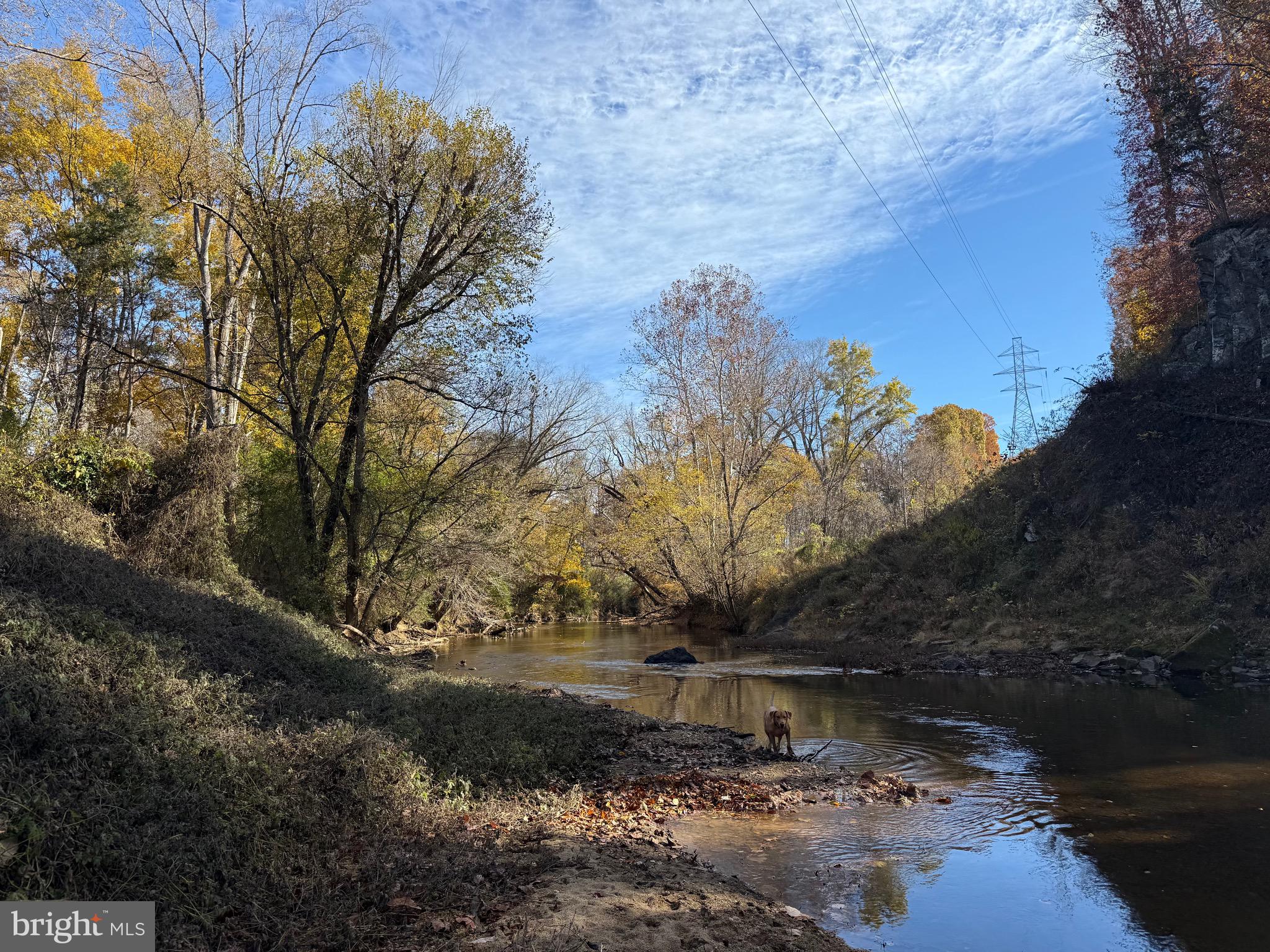 0 Bridgeport Road Arvonia, VA 23004 - Photo 23 of 52