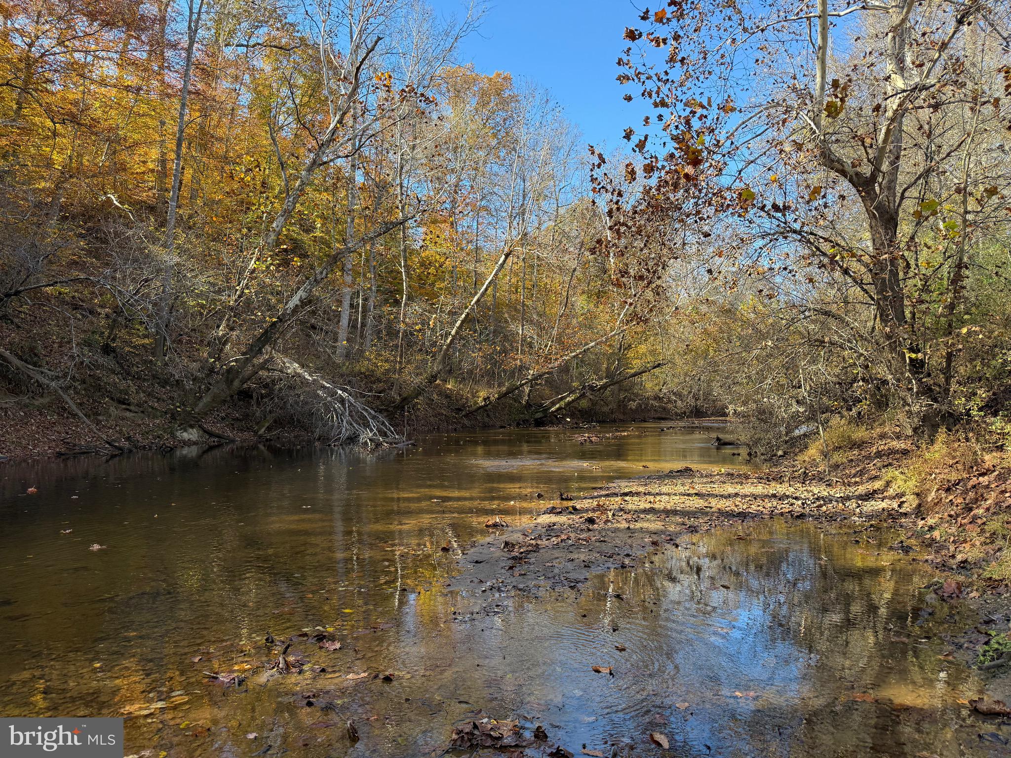 0 Bridgeport Road Arvonia, VA 23004 - Photo 24 of 52