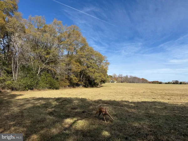$359,000 | 0 Bridgeport Road, Arvonia, VA 23004