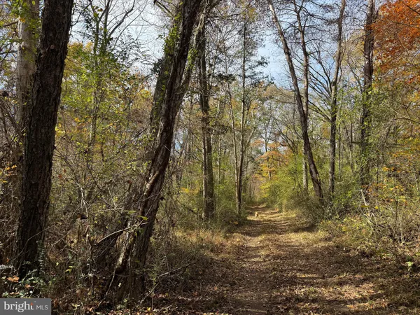 $359,000 | 0 Bridgeport Road, Arvonia, VA 23004