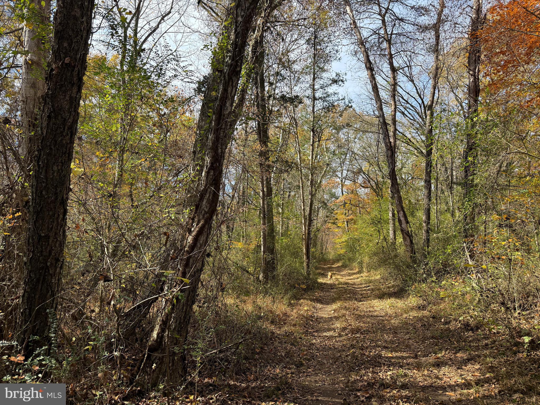0 Bridgeport Road Arvonia, VA 23004 - Photo 31 of 52