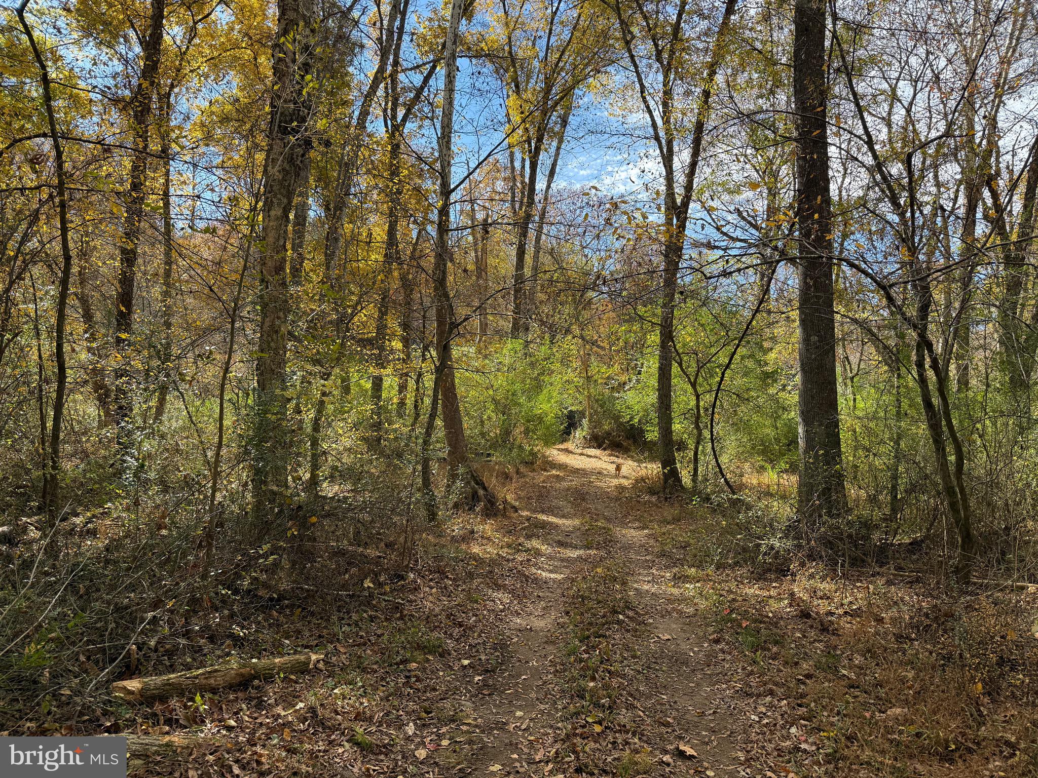 0 Bridgeport Road Arvonia, VA 23004 - Photo 32 of 52