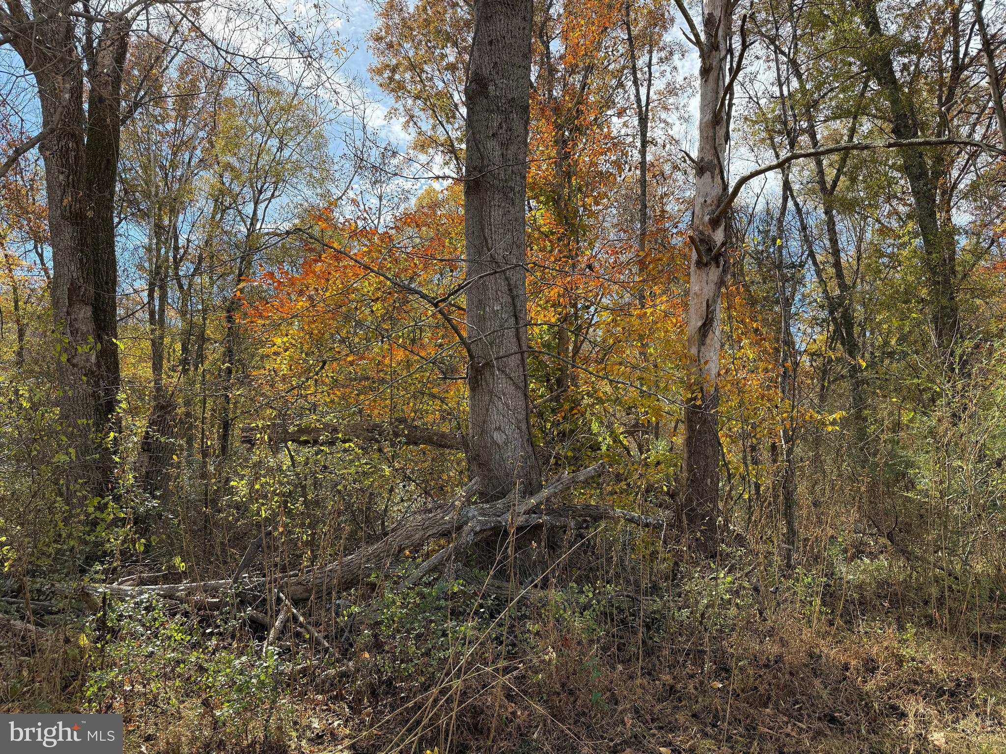0 Bridgeport Road Arvonia, VA 23004 - Photo 36 of 52