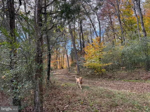 $359,000 | 0 Bridgeport Road, Arvonia, VA 23004
