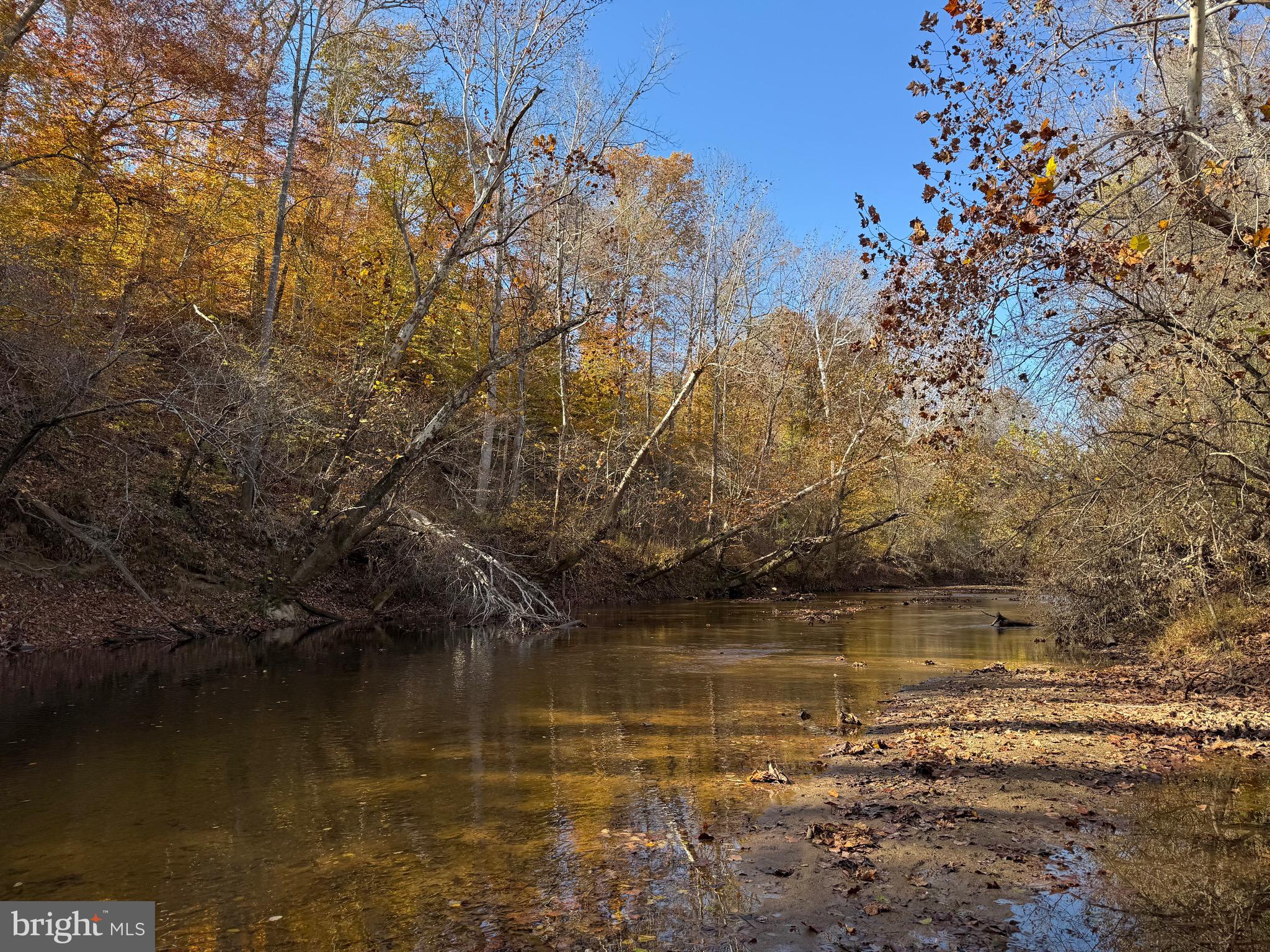 0 Bridgeport Road Arvonia, VA 23004 - Photo 4 of 52