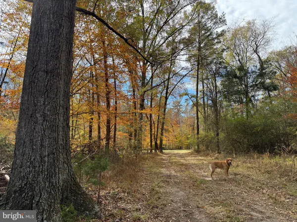 $359,000 | 0 Bridgeport Road, Arvonia, VA 23004