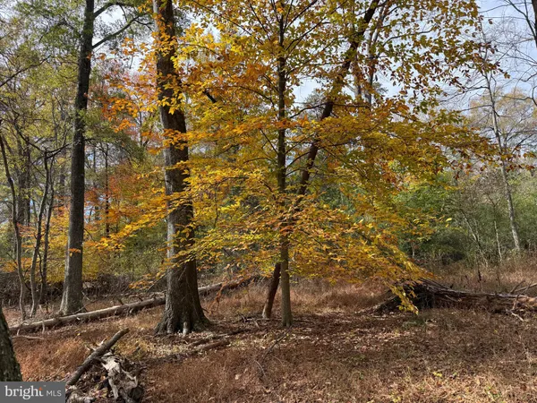 $359,000 | 0 Bridgeport Road, Arvonia, VA 23004