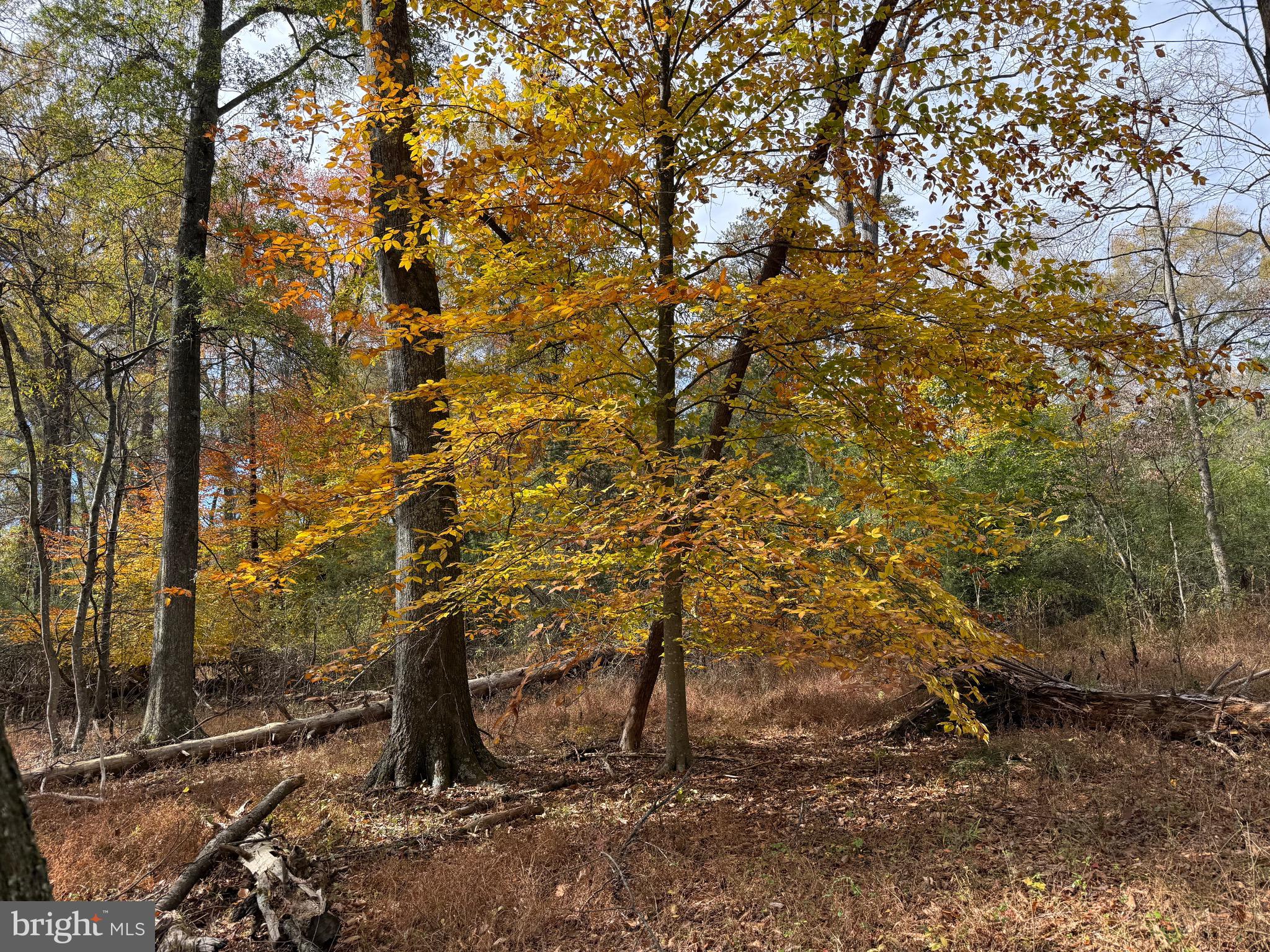 0 Bridgeport Road Arvonia, VA 23004 - Photo 43 of 52