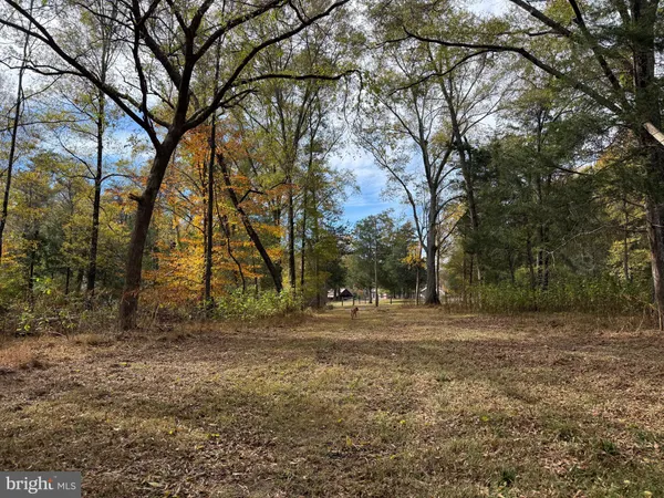 $359,000 | 0 Bridgeport Road, Arvonia, VA 23004