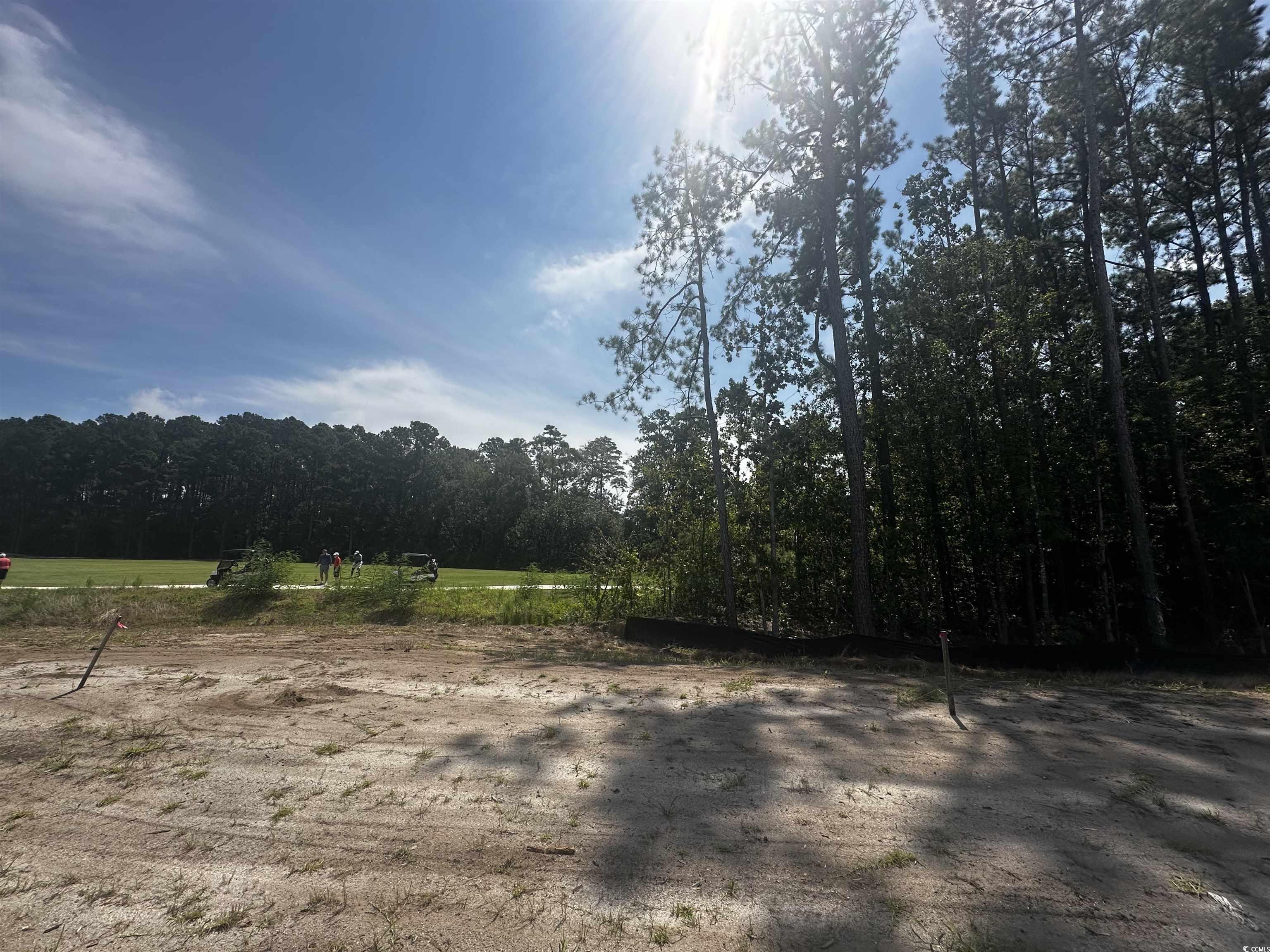 412 Ireland Way, Unit 402 Murrells Inlet, SC 29576 - Photo 12 of 14 View of yard featuring a forest view