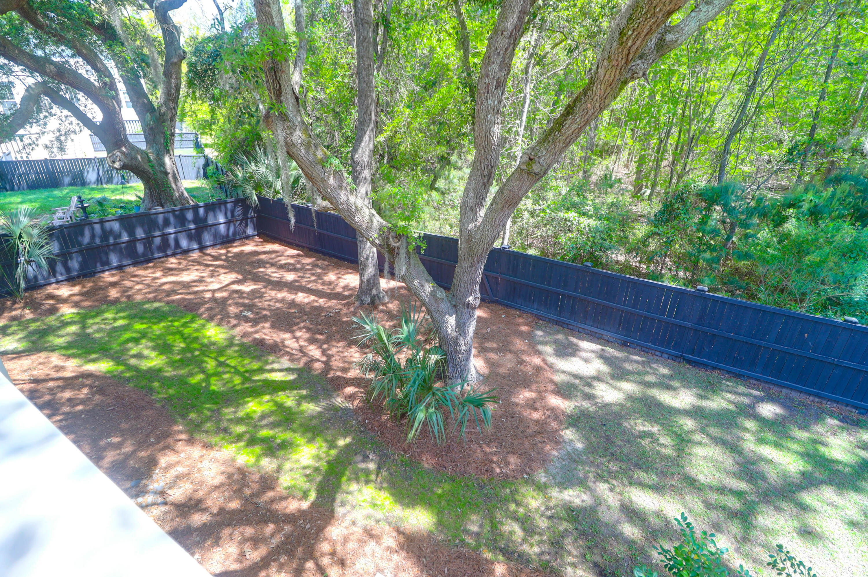 3534 Saltflat Lane Mount Pleasant, SC 29466 - Photo 32 of 38 3534 Saltflat -Tidalcreekphoto- (53)