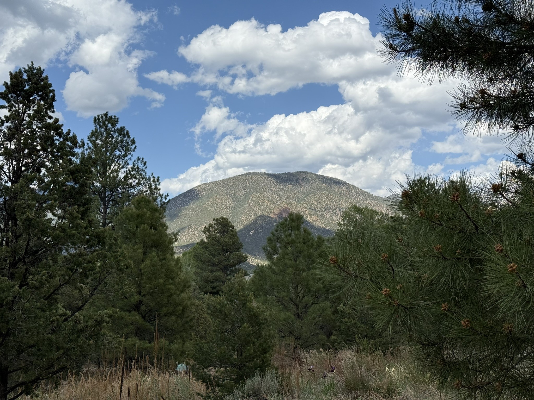 2318 Old Red River Road Questa, NM 87556 - Photo 1 of 36