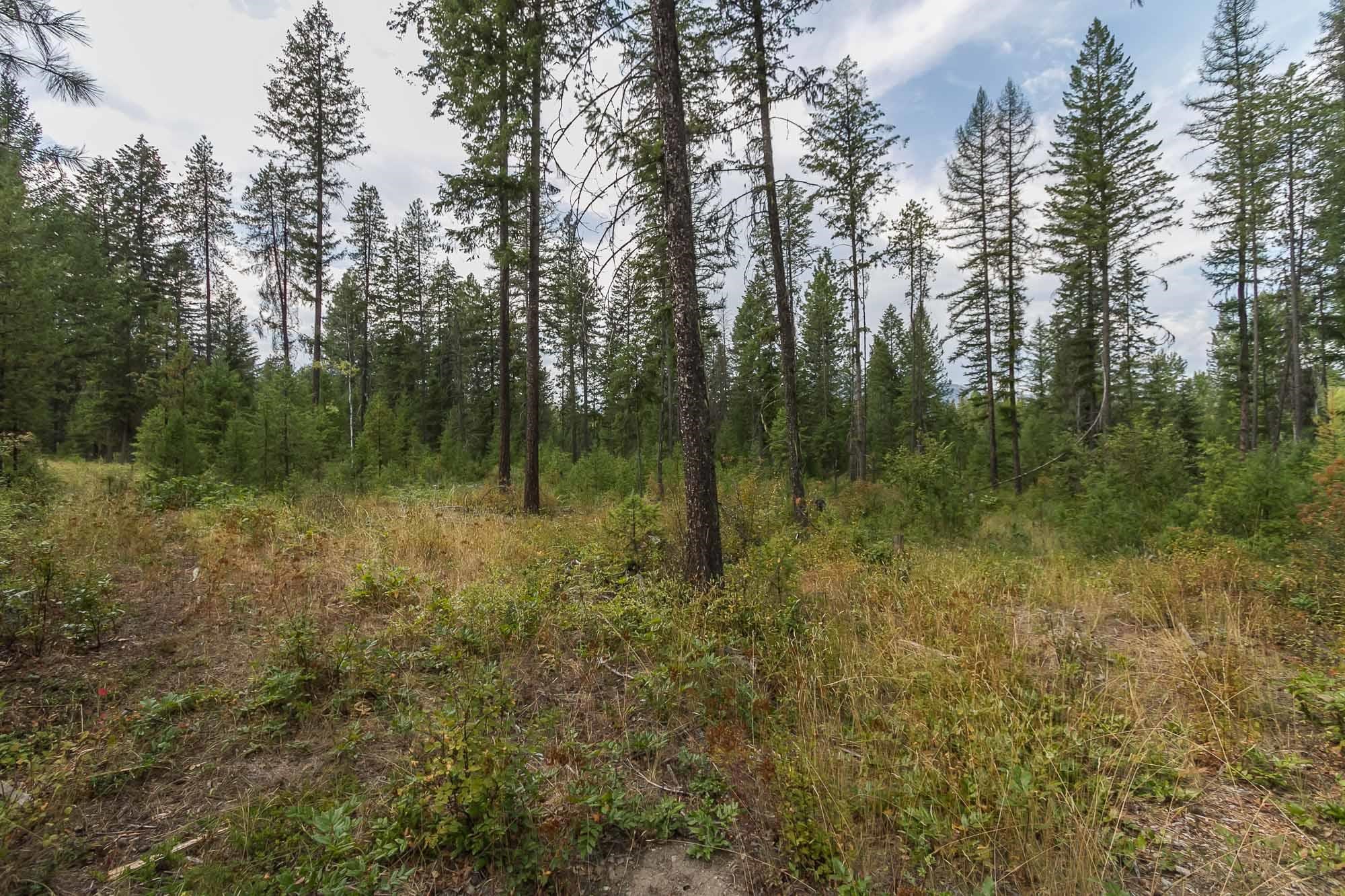 3614 Sand Creek Road Kettle Falls, WA 99141 - Photo 12 of 13 Gallery Image 12