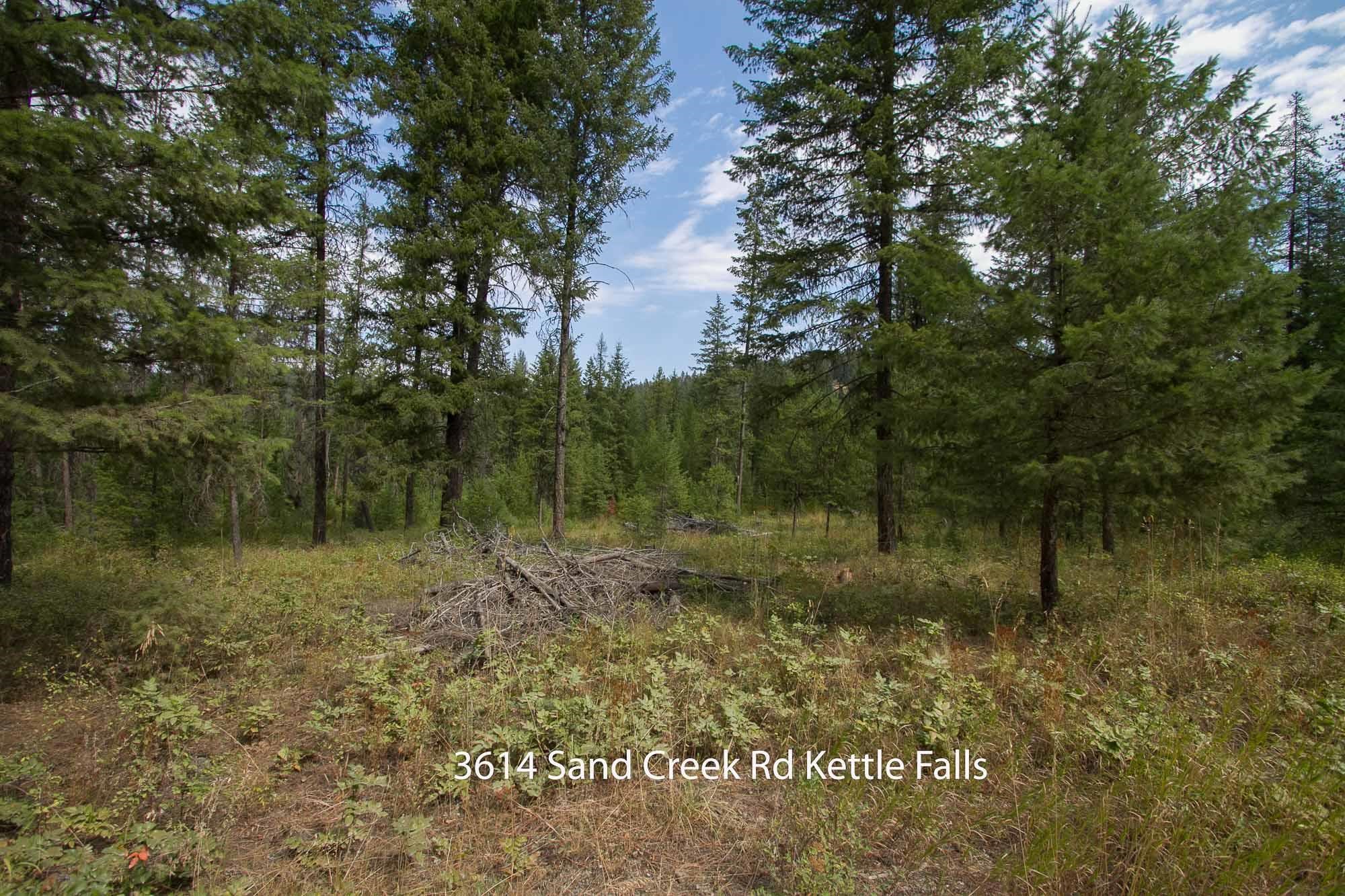 3614 Sand Creek Road Kettle Falls, WA 99141 - Photo 3 of 13 Gallery Image 3