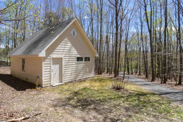a view of a big yard with plants and large trees