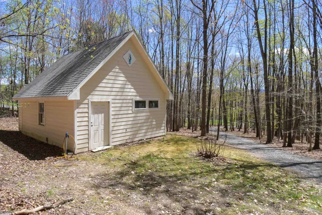 a view of a big yard with plants and large trees