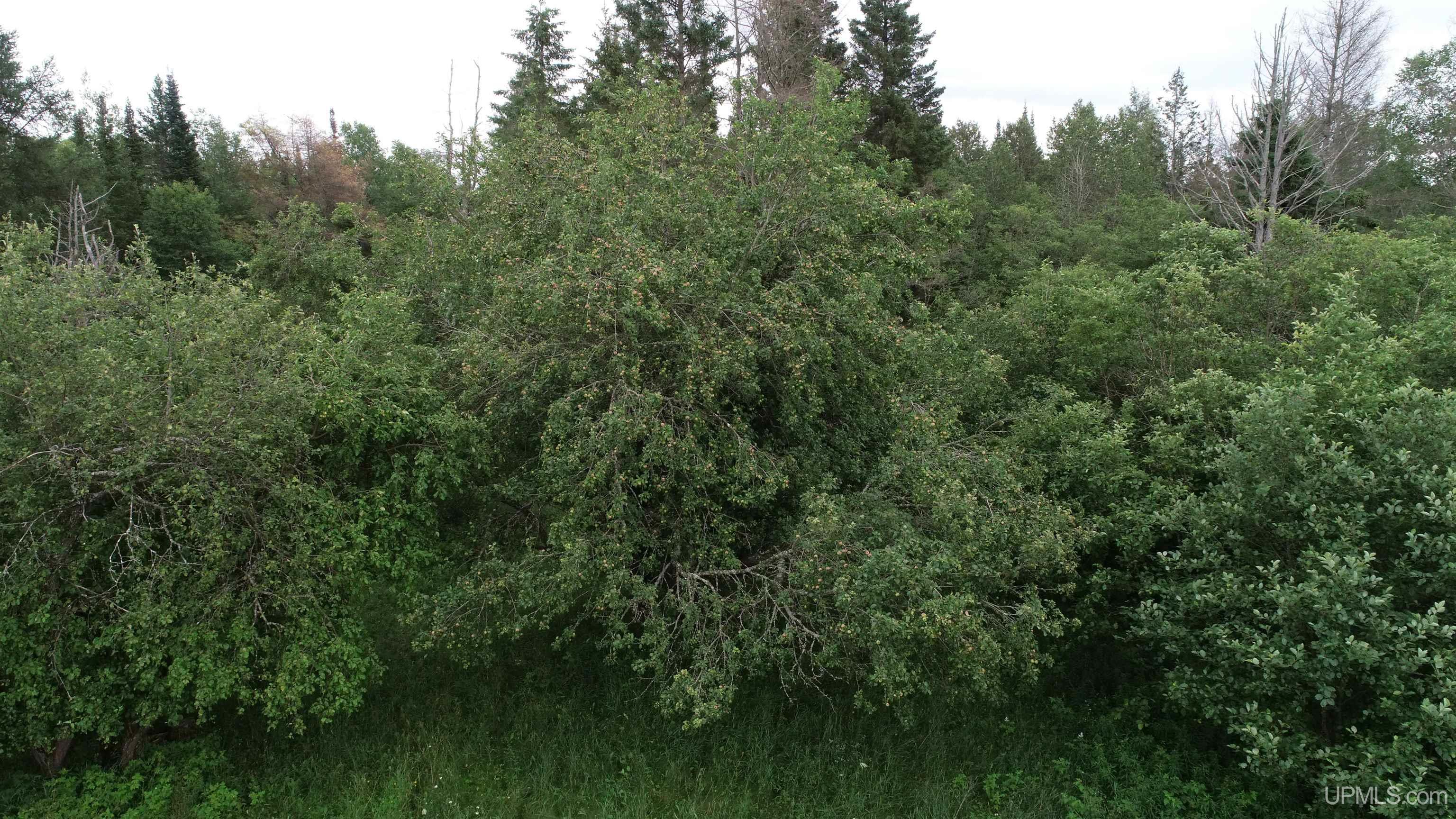 2495 W Quarry Road Gulliver, MI 49840 - Photo 31 of 32
