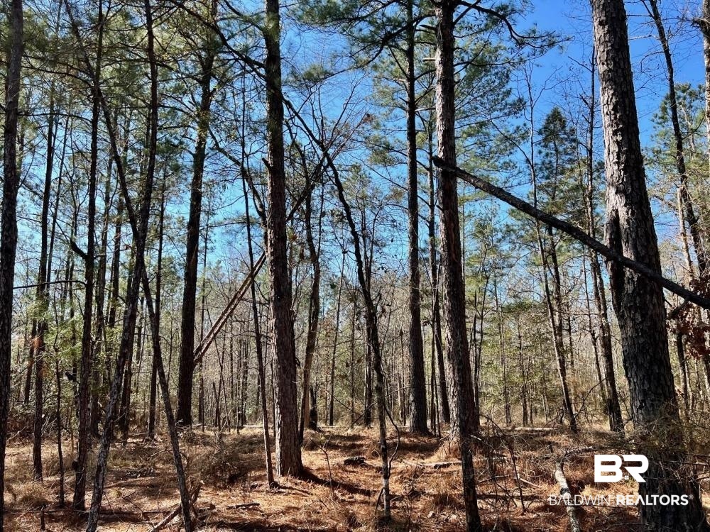 0 Country Road Deer Park, AL 36529 - Photo 24 of 46