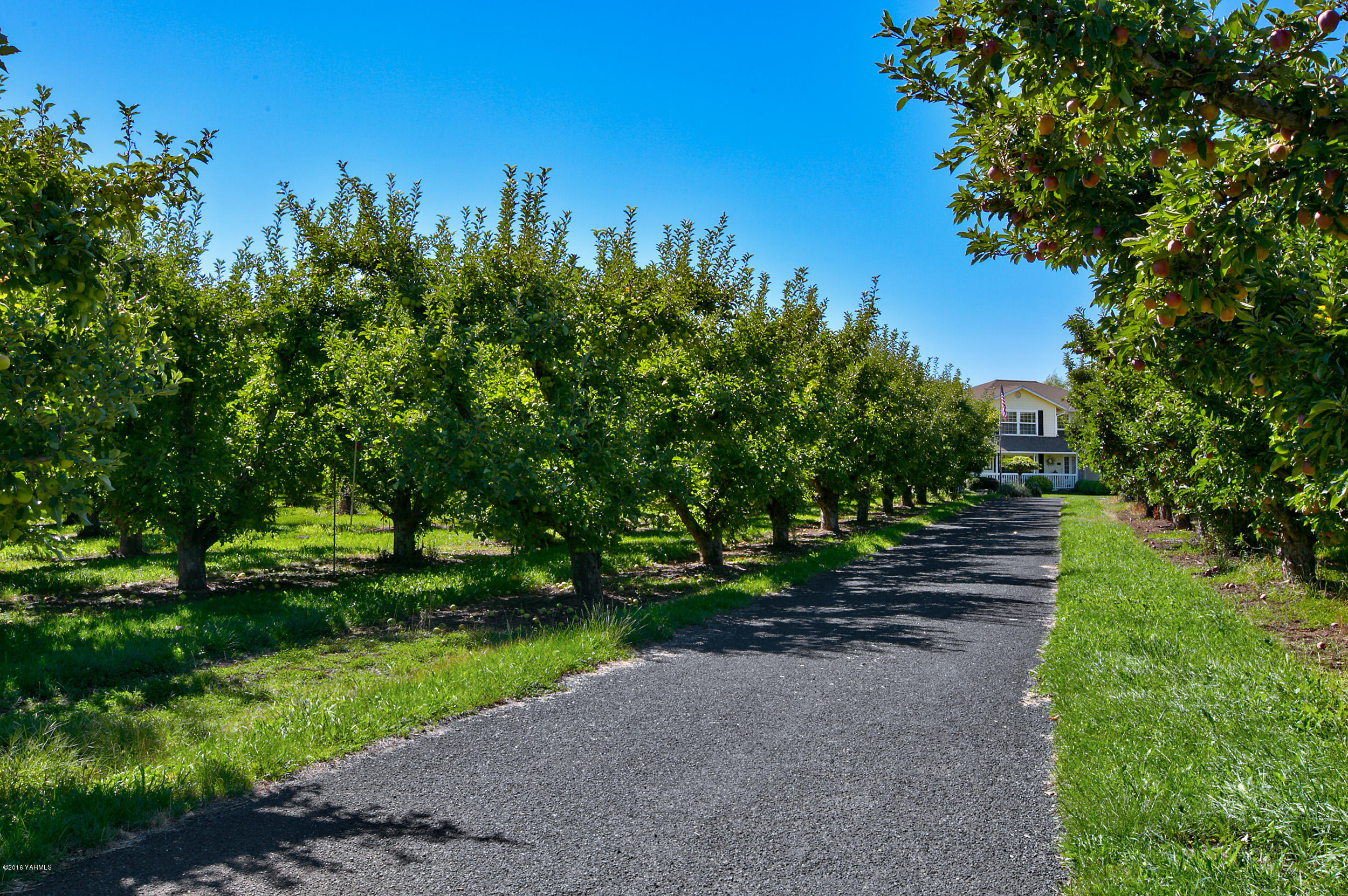 Nna Nna Barrett Ghormley Road Yakima, WA 98908 - Photo 1 of 2 a view of a park with large trees