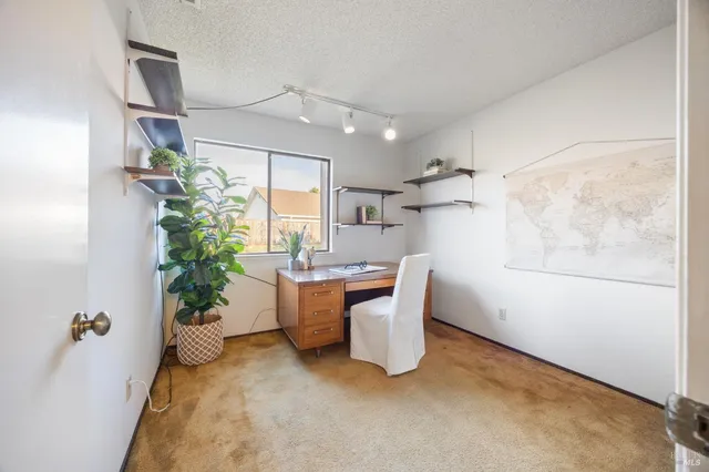 a view of a room with furniture and a potted plant