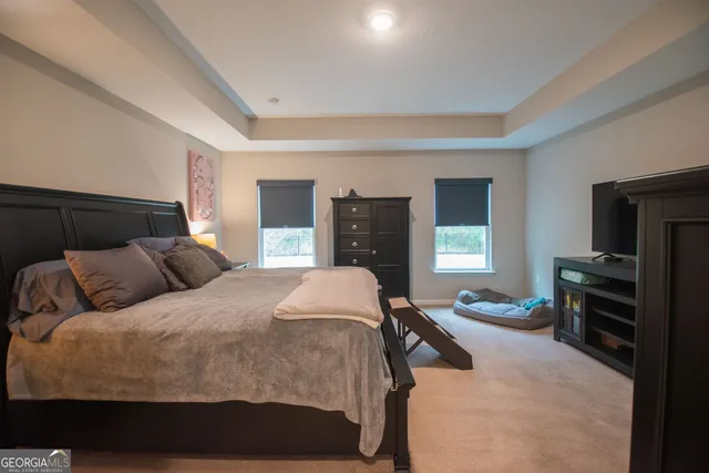 a bedroom with a bed and dresser