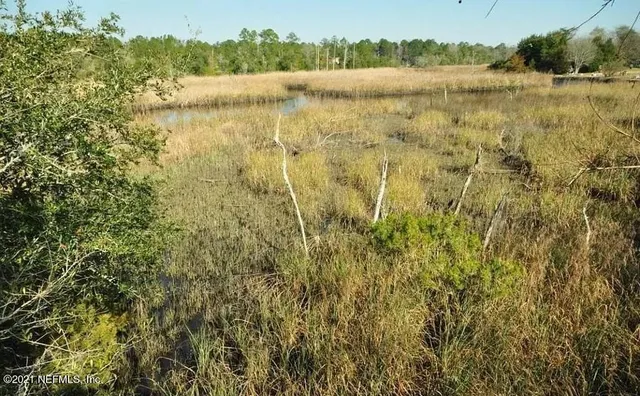 a view of lake with green space