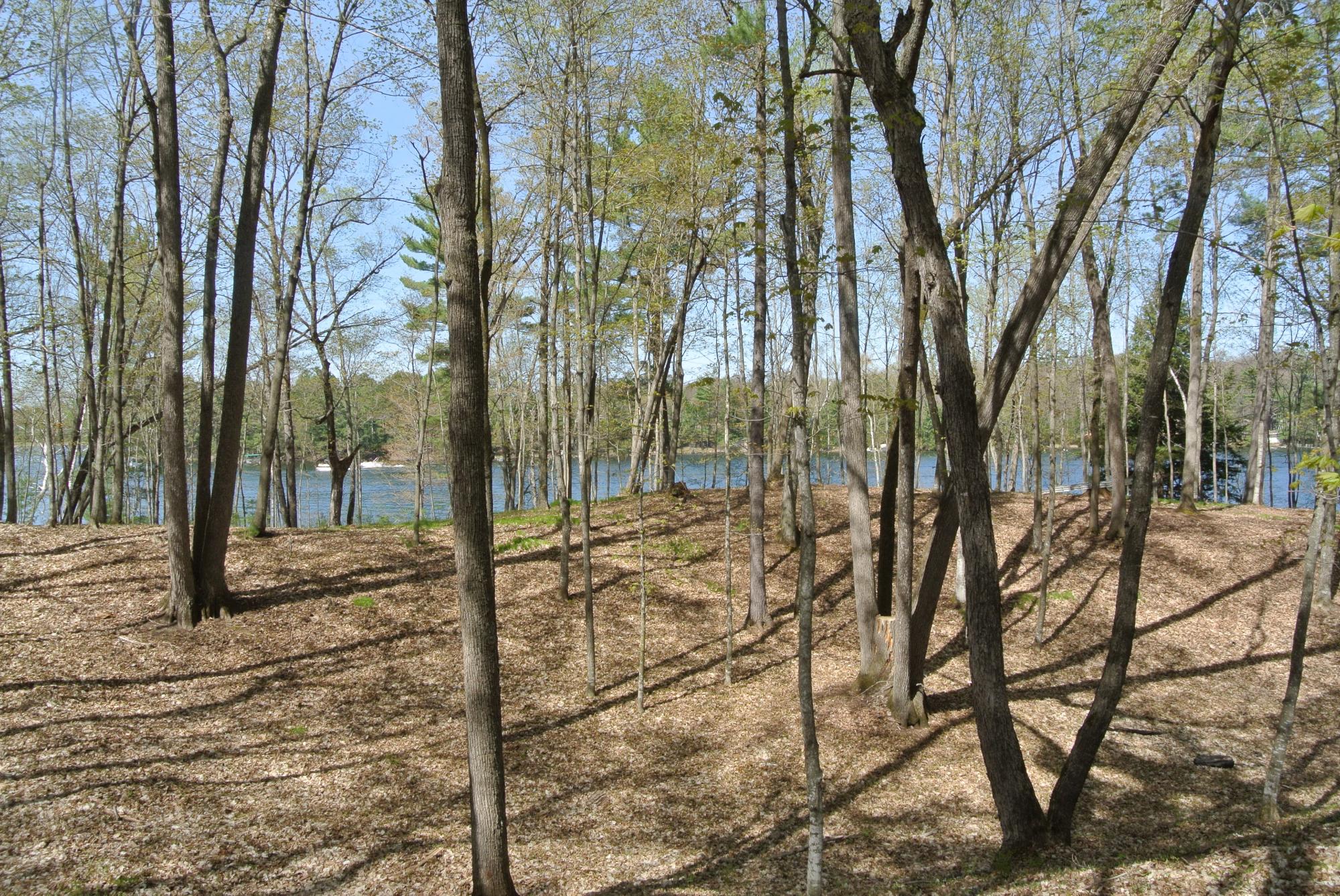 Lot 3 Big Ripley Island Minocqua, WI 54548 - Photo 17 of 20 Gallery Image 17