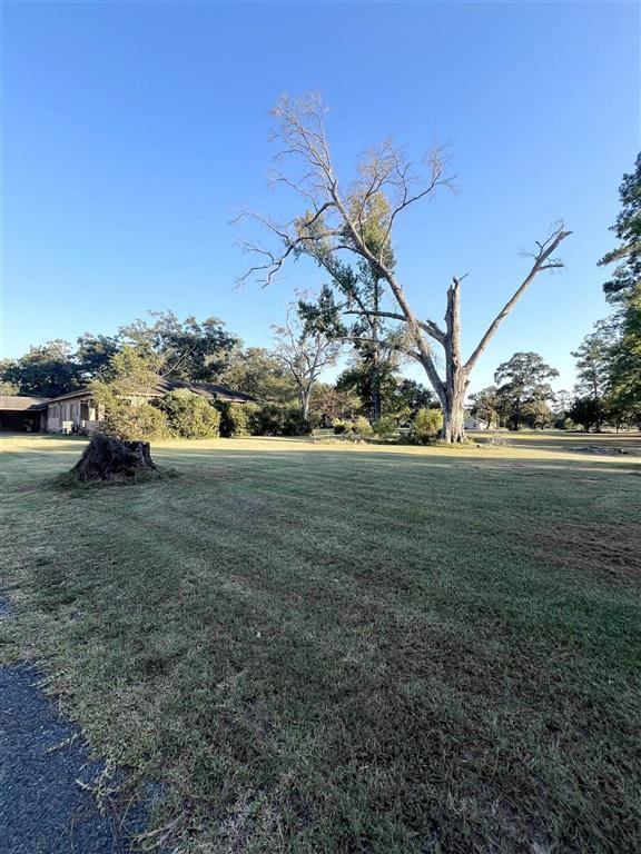 335 Cole Road Kinder, LA 70648 - Photo 2 of 22