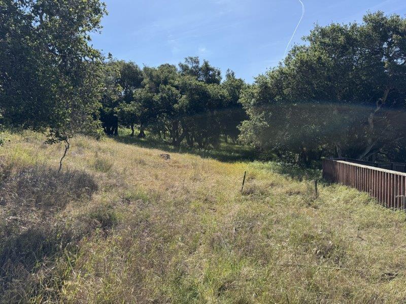 6443 Tustin Road Salinas, CA 93907 - Photo 12 of 34