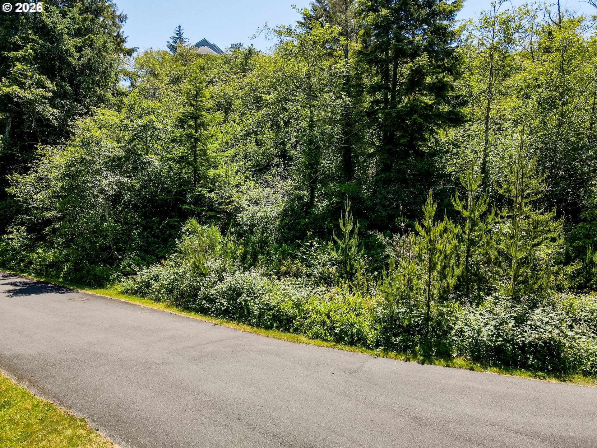 15 Dewolf Road, Unit LOT 15 Nehalem, OR 97131 - Photo 22 of 25