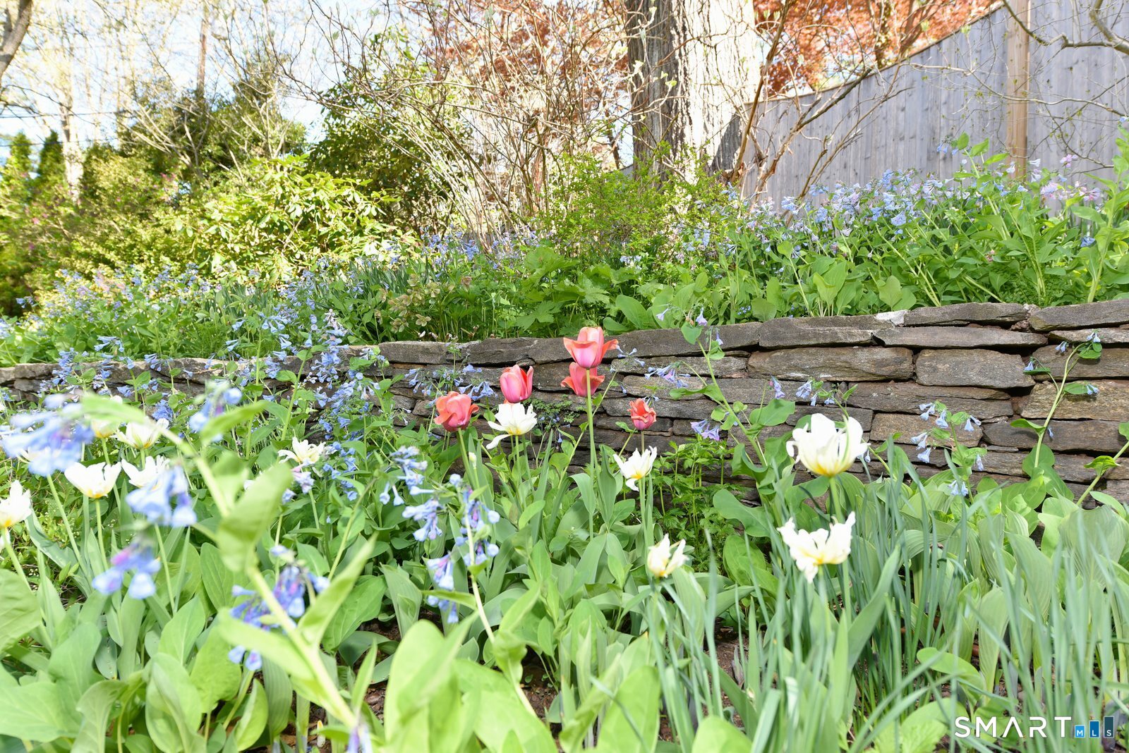 24 Coleman Road Glastonbury, CT 06033 - Photo 33 of 33