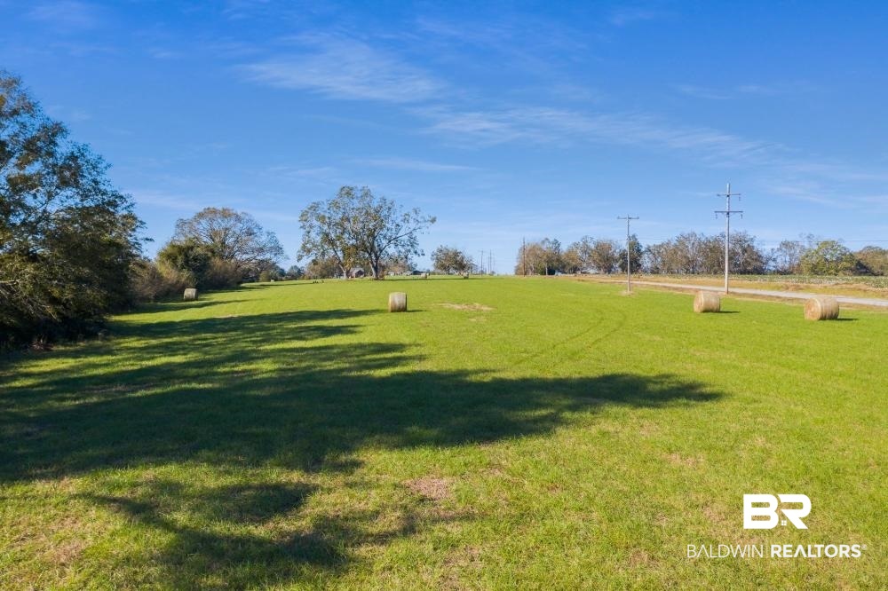 5469 County Road 55 Florala, AL 36442 - Photo 41 of 49