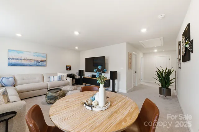 a living room with furniture potted plant and a flat screen tv