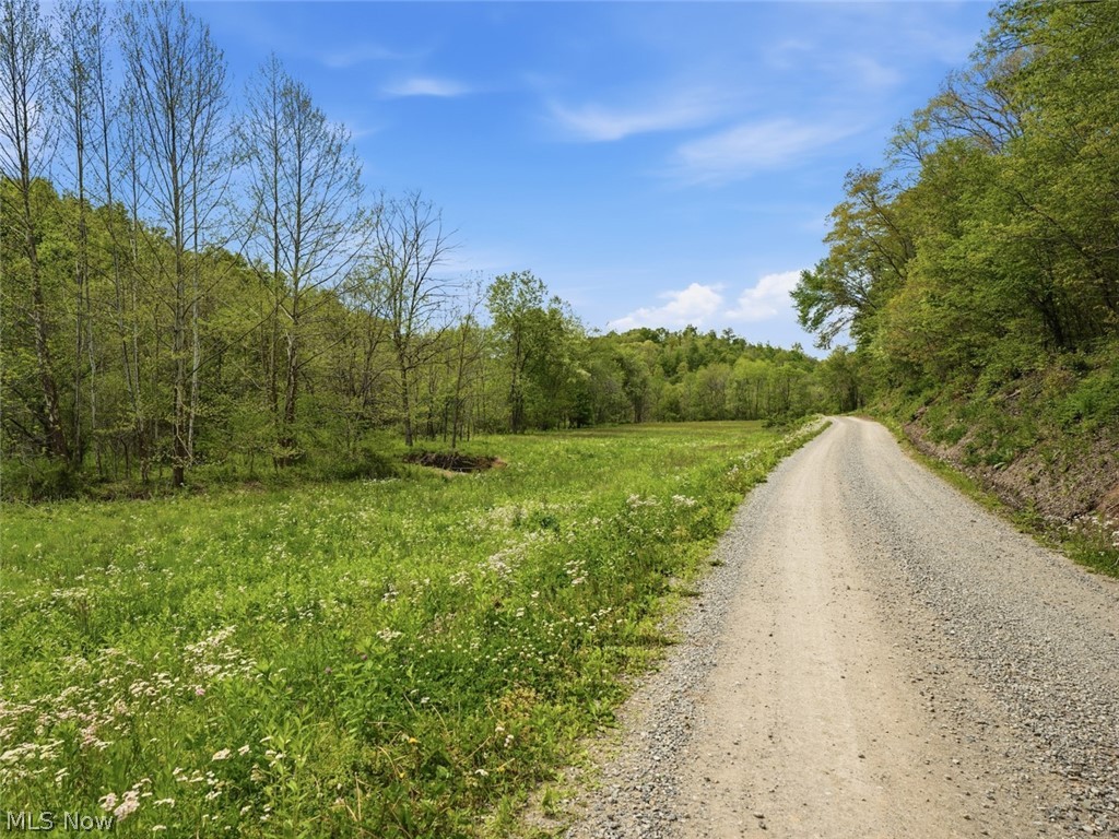 0 Pratts Run Road Woodsfield, OH 43793 - Photo 6 of 24