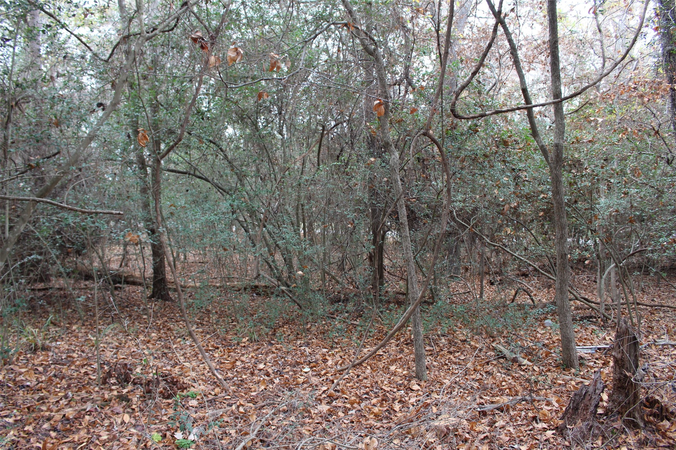 225 Dailey Road Crockett, TX 75835 - Photo 2 of 19