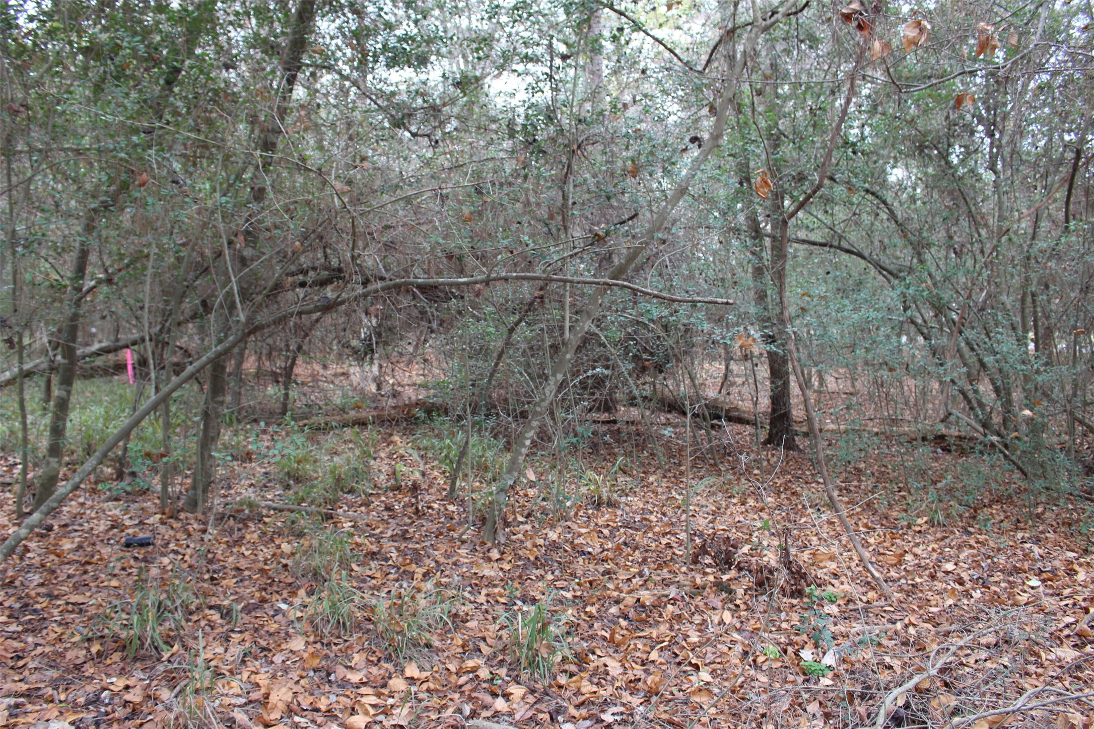 225 Dailey Road Crockett, TX 75835 - Photo 3 of 19