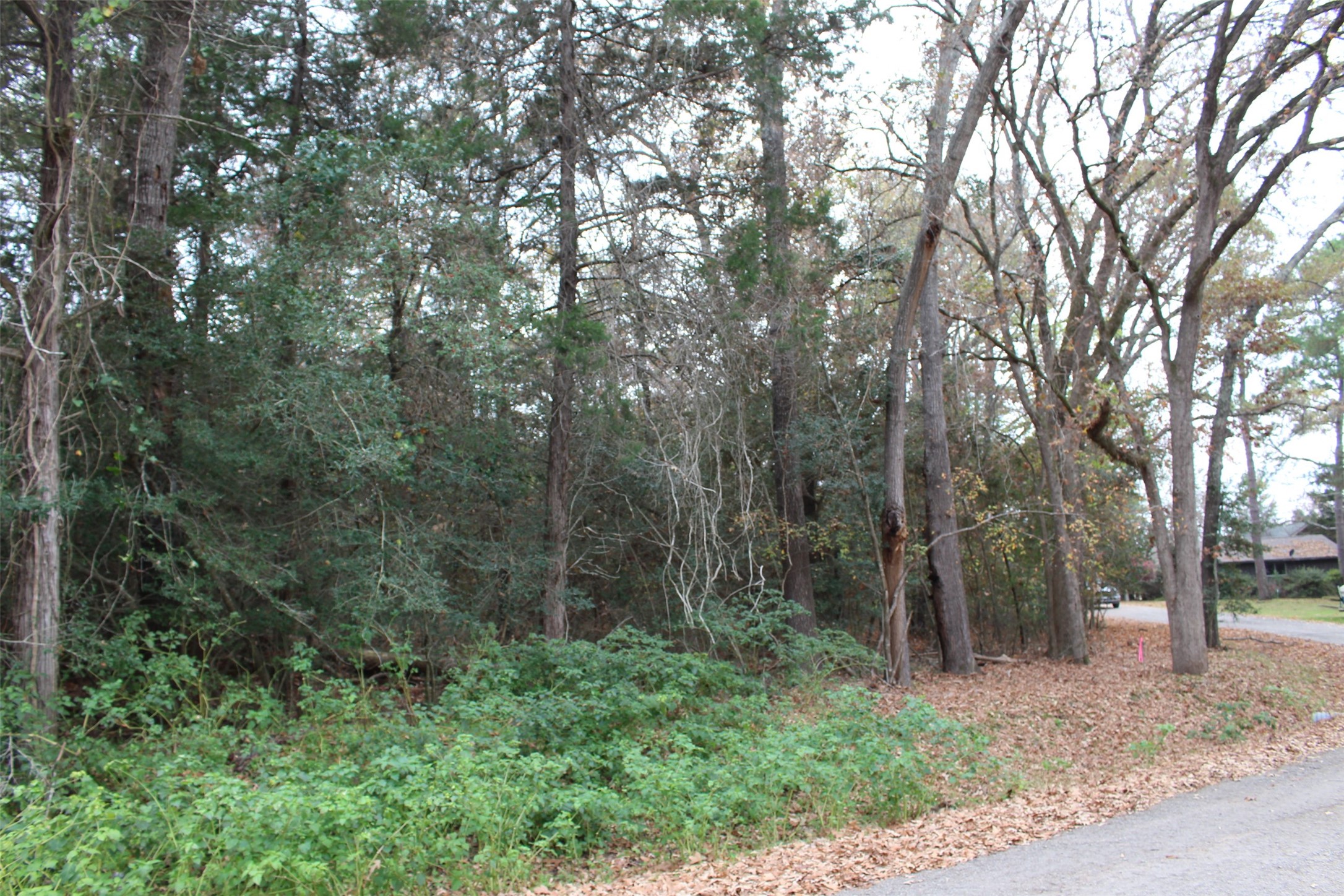 225 Dailey Road Crockett, TX 75835 - Photo 4 of 19