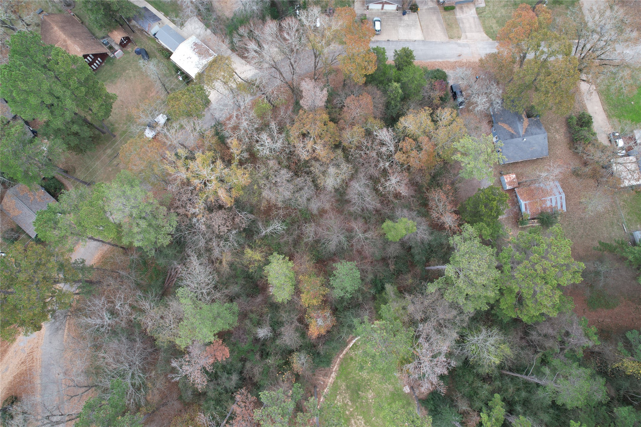 225 Dailey Road Crockett, TX 75835 - Photo 9 of 19