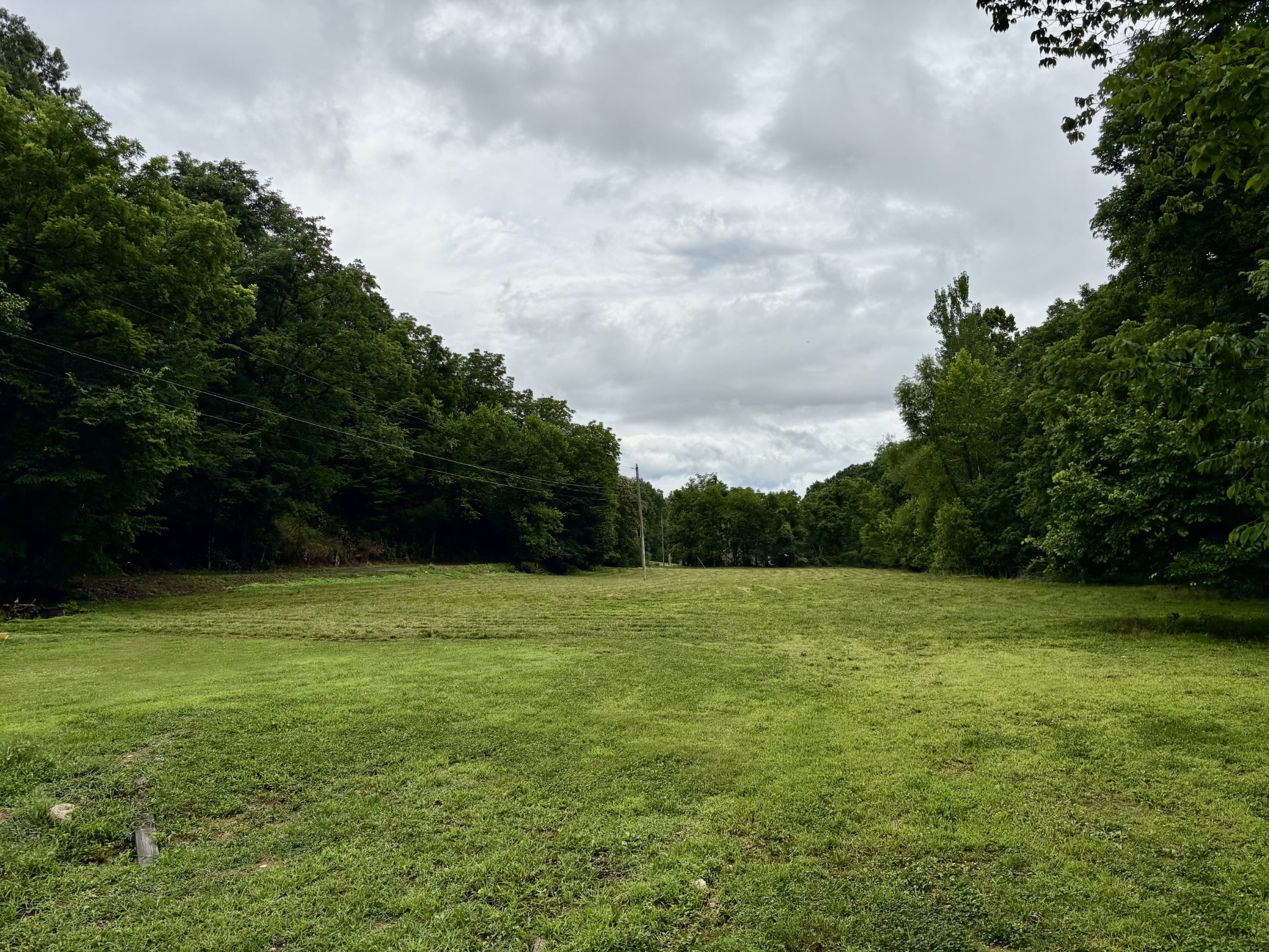 580 Defeated Creek Road Centerville, TN 37033 - Photo 72 of 72 a view of a field with a trees in the background