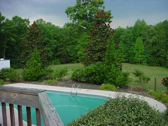 575 State Rd S-42-7023 Campobello, SC 29322 - Photo 22 of 25
