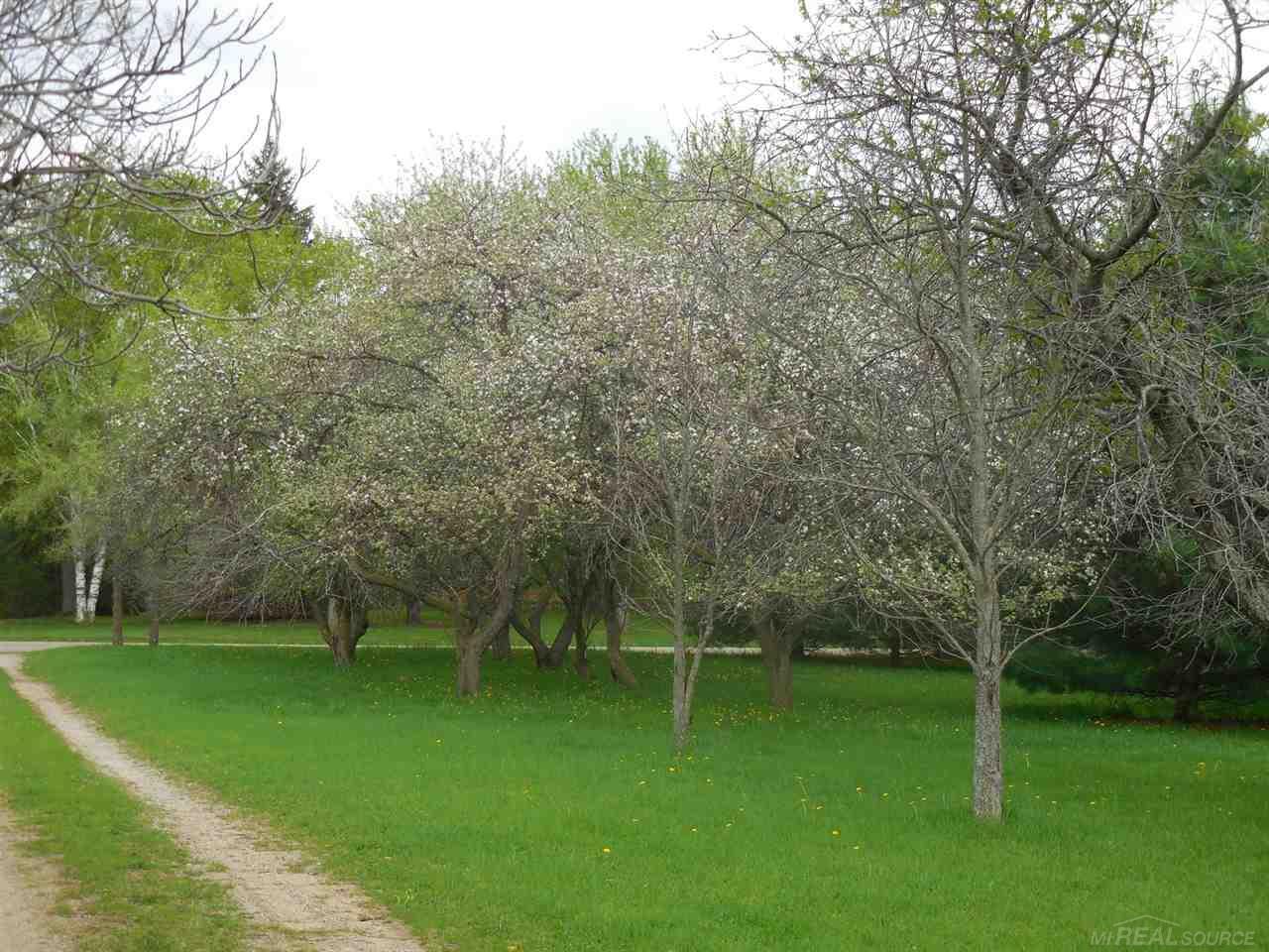 1389 North Maple Leaf Road Lapeer, MI 48446 - Photo 10 of 12