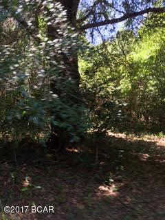 2246 Overpass Road Campbellton, FL 32426 - Photo 18 of 31