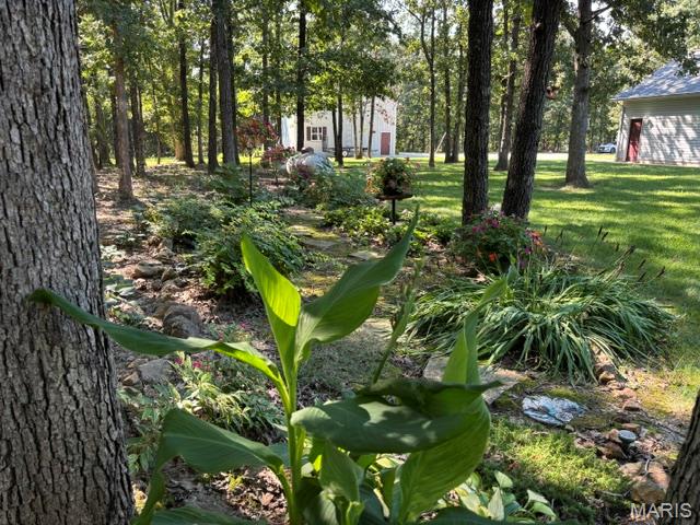 484 Dunham Road St. James, MO 65559 - Photo 19 of 85 Gallery Image 19