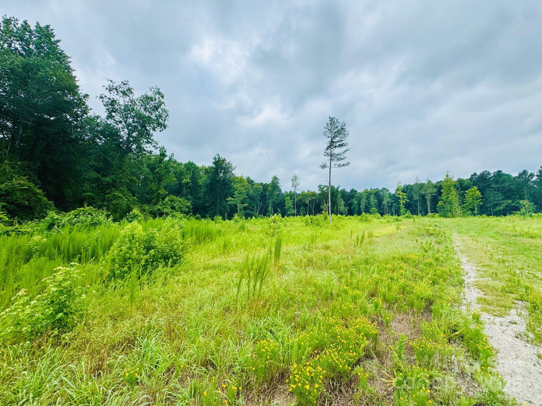 Tract A Tract A Santa Anita Road Cheraw, SC 29520 - Photo 2 of 9 a big yard with lots of green space