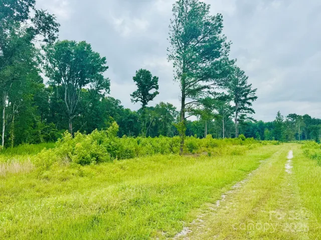 a view of an outdoor space and a yard